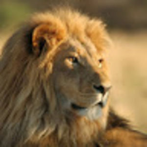 Meet your Posher, Richard